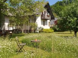 River House Radolca
