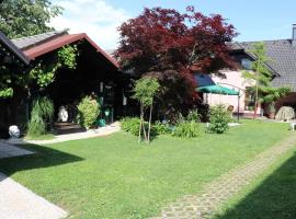 Frenk cottage 5 KM FROM THE AIRPORT-free transportation, cabaña o casa de campo en Šenčur