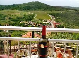 Studio apartman Bel Vedere, hotel with parking in Motovun