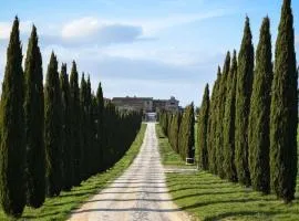 Cozy home in countryside Asciano Siena -renovated!