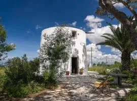 NEW! Windmill in the midst of nature