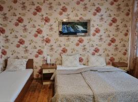 Old Style, ваканционно жилище във Враца