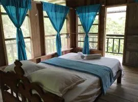 Cabañas eco lógicas mu'ü