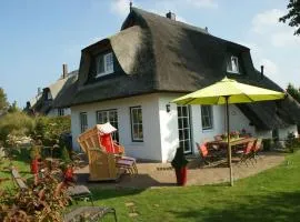 Reethus Starkikker