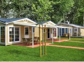 Seemöwe "Seagull" F178