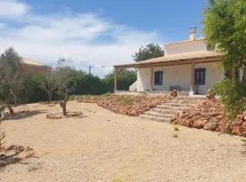 Countryside Villa in Silves