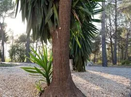 Casa natura