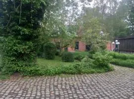 Nilvaevents