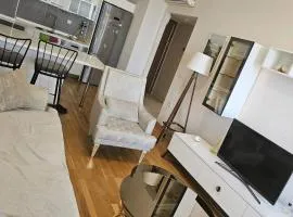 Outstanding 1+1 Bedroom Suite Apartment Available