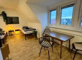 MiCasa TuСasa - 2-R-Apartment Leipziger Neuseenland Hydra