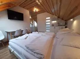 Apartamenty przy szlaku