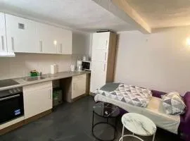 Appartement Somptueux a Unterheinriet