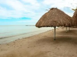 Apartamento Villa Carolina 102