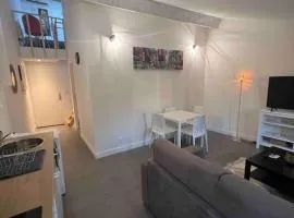 Magnifique T3 duplex