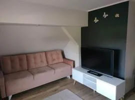 Apartament na poddaszu Pola