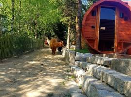 Alpakowy raj – domek wiejski w Nowym Targu