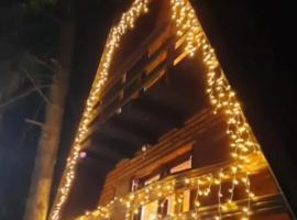 Vikendica Rajvosa Vla&scaron;ić, villa i &Scaron;i&scaron;ava