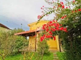 Villa Sofia