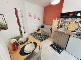 Studio hypercentre proche Vieux Marché