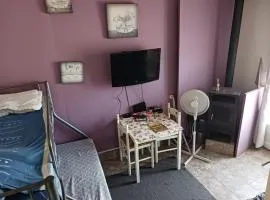 Studio indépendant avec terrasse