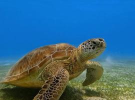 Suvaasa Inn, alojamento na praia em Omadhoo