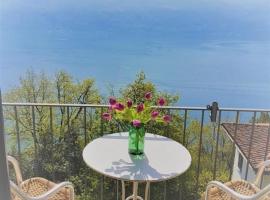 "Sasso Marco" 15 Zimmer-Wohnung mit fantastischem See- & Bergblick, Hotel in Ronco sopra Ascona