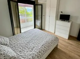 Agra-Festiñanza VUT-PO-012647