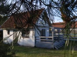 W ładnym polu n1, holiday home in Ruciane-Nida