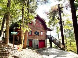 Red Dog Barn: See bison traverse in front of cabin