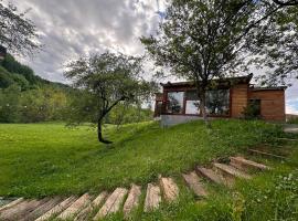 Biutiful Bungalow, cabaña o casa de campo en Vişeu de Sus