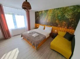 Casa Zina - inchiriere integrala