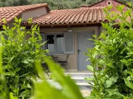 Olga's Sea View Studios, 400m from Ipsos Beach