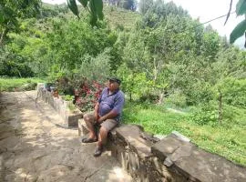 Guest House FELAU