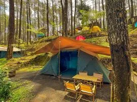 Finest Camp