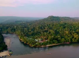 Misahualli Amazon Lodge