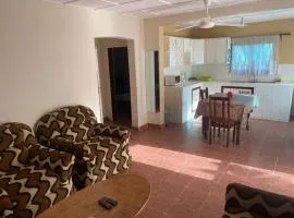 Harmony house apartments