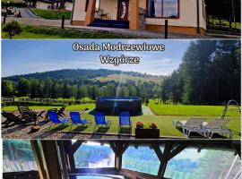 Osada Modrzewiowe Wzgórze -Bieszczady, Wańkowa, hotel v destinaci Ustrzyki Dolne