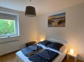 Premium One-Bedroom Apartment