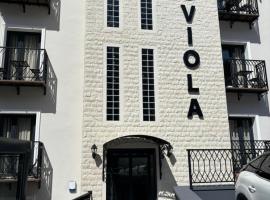 Viola Hotel Budva, отель в Будве