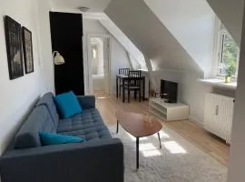 Serviced Luxury Apartment in Østerbro - incl housekeeping once a week