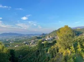 Silvia Miotto's Guesthouse