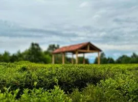Guesthouse Gezruli- 25 km from Chiatura