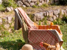 아그로투리스모 손 비스코스