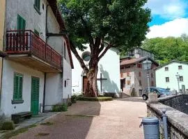 Casa l'Acerone