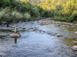 RiverStill Guest Farm