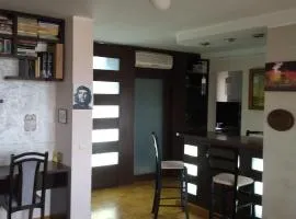 Sava Centar Flat