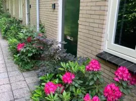 Rode Eekhoorn: genieten met de dieren in het bos!