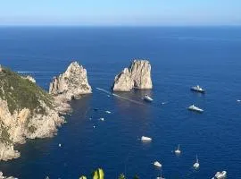 Il Merlo Capri