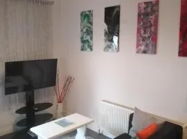 Stunning 1-Bed Apartment in Carrick-On-Shannon