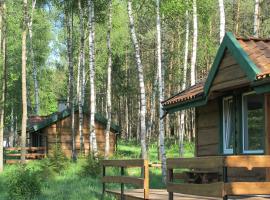 domki na leśnej polanie, hotelli kohteessa Lidzbark Warmiński